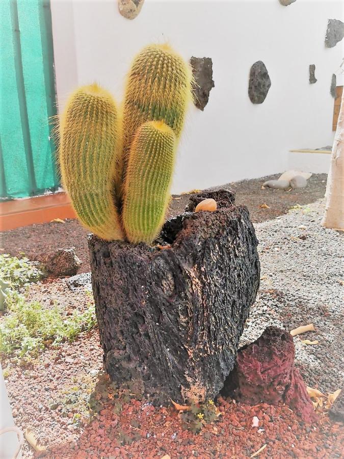 Appartamento Budda house Puerto del carmen. Tías Esterno foto